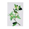 Magnolia Blooms Wall Art On Wooden Base, Multicolor, Set of 2