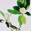 Magnolia Blooms Wall Art On Wooden Base, Multicolor, Set of 2
