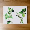 Magnolia Blooms Wall Art On Wooden Base, Multicolor, Set of 2
