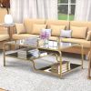 Metal Framed Mirror Coffee Table with Tiered Shelves, Gold and Mirror
