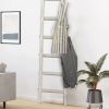 Transitional Style Wooden Decor Ladder with 6 Steps, White