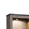 Tall Wooden Pier with 1 Door Cabinet and 2 Adjustable Glass Shelves, Brown