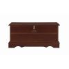Traditional Style Lift Top Wooden Chest with Carved Details, Dark Brown