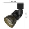 Metal and Clear Polycarbonate LED Track Fixture, Black and Gray