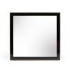 Dual Tone Stainless Steel Frame Wall Mirror, Black and Gold