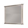 Ada 38 x 45 Rectangular Dresser Mirror, Molded Trim, Pine Wood, Brown