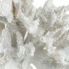 Lily 10 Inch Faux Coral Accent Sculpture, Polyresin Decorative Piece, White