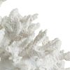 Lily 10 Inch Faux Coral Accent Sculpture, Polyresin Decorative Piece, White