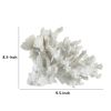 Lily 10 Inch Faux Coral Accent Sculpture, Polyresin Decorative Piece, White