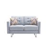 Caden 54 Inch Modern Loveseat with Side Pocket and 2 Pillows, Light Gray