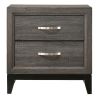 Mazie 25 Inch Modern 2 Drawer Nightstand, Metal Handle, Gray Foil Finish