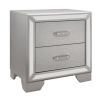 Aisha 24 Inch 2 Drawer Nightstand, Embossed Front, Mirror Trim, Silver Wood