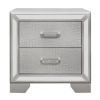 Aisha 24 Inch 2 Drawer Nightstand, Embossed Front, Mirror Trim, Silver Wood