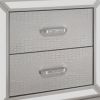 Aisha 24 Inch 2 Drawer Nightstand, Embossed Front, Mirror Trim, Silver Wood