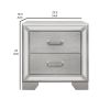 Aisha 24 Inch 2 Drawer Nightstand, Embossed Front, Mirror Trim, Silver Wood