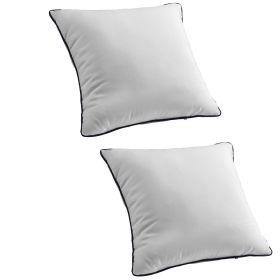 20 x 20 in Throw Pillow Inserts, Set of 2, Firm and Fluffy Decorative Down Alternative Pillows with Polyester Fiber, Square White Cushion with Zipper