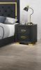Glamorous 1pc Modern Glam Style 2-Drawer Nightstand Black Gold Finish Gold-colored Hardware Bedroom Furniture