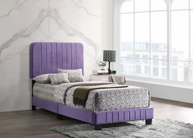 Contemporary Twin Bed In Vibrant Purple