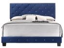 Noble Navy Queen Bed With Transitional Flair