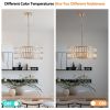 18" Golden Modern Crystal Drum Chandelier