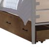 Traditional Wooden Twin Size Trundle with Caster Wheels, Brown