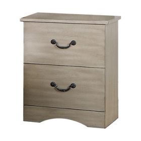 Bran 27 Inch Modern 2 Drawer Nightstand