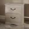 Bran 27 Inch Modern 2 Drawer Nightstand