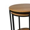 Molly Nesting Table Set of 2