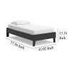 Alli Twin Size Platform Bed, Matte Black Wood Frame with Laminate