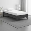 Alli Twin Size Platform Bed, Matte Black Wood Frame with Laminate