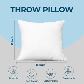 Throw Pillows (Set of 4