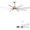 66 Inch Low Profile ABS Ceiling Fan with Dimmable Lights and Smart Remote Control 6 Speed Reversible Noiseless DC Motor for Indoor