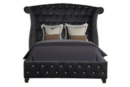Sophia Upholstery Queen Size Bed Made With Wood in Black Color