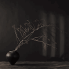 Falen Woodiness Vase Black