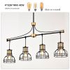 Dining Room Light Fixture/Chandelier Over Table