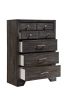1pc Contemporary Dark Wood Grain Finish Metal Knobs Storage Drawers Tall Chest Wooden Gray