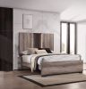 Contemporary Queen Panel LED Light Headboard Bed 1pc Brown Beige Gray Finish Wooden Bedroom Furniture