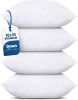 Throw Pillows (Set of 4