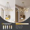 Golden Modern Chandelier Light Fixture